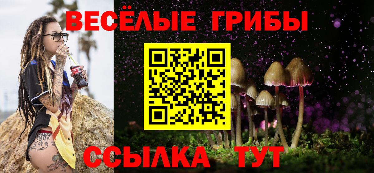 Галлюциногенные грибы прущие грибы Ессентуки